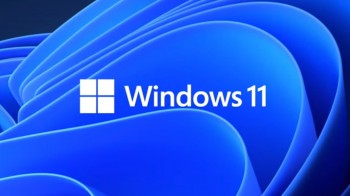 Windows 11 Professional ESD