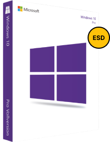 Windows 10 Professional ESD