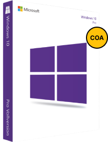 Windows 10 Professional COA